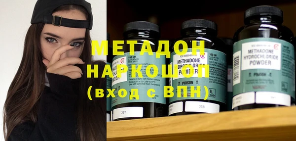 индика Алексин