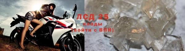 индика Алексин