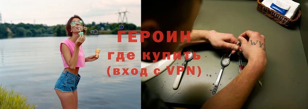 индика Алексин
