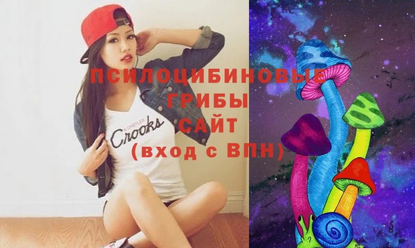 индика Алексин