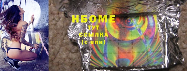 индика Алексин