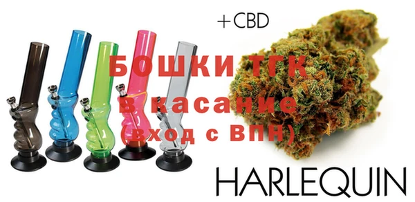 индика Алексин