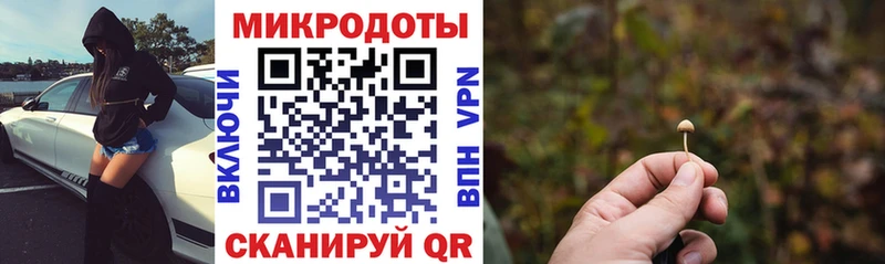 Галлюциногенные грибы прущие грибы  Тулун 