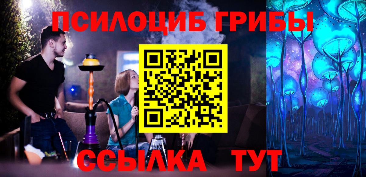 Галлюциногенные грибы GOLDEN TEACHER  Вход с VPN  хочу наркоту  Галлюциногенные грибы MAGIC MUSHROOMS  Тулун 